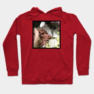 Funny Husky Dog Smelling Foot Flowers Simple Hoodie